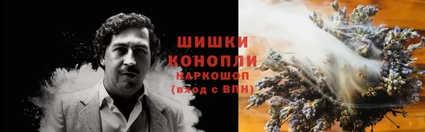 твердый Гусев