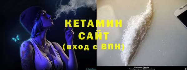 твердый Гусев