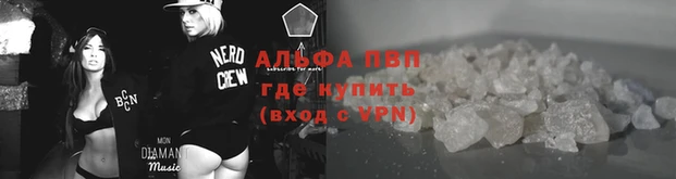 стафф Дмитровск