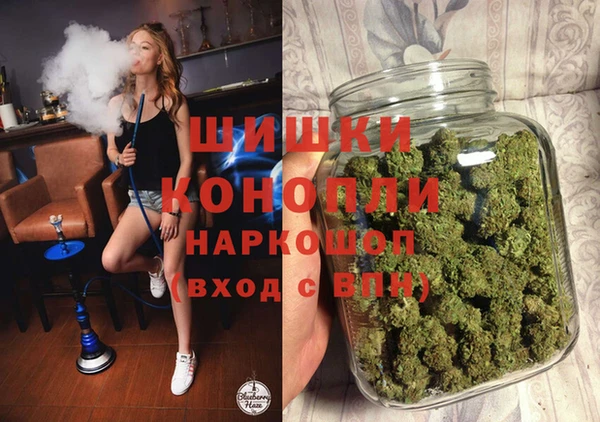 PSILOCYBIN Свободный