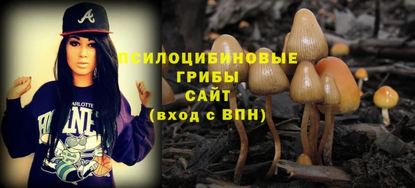 мяу мяу кристалл Корсаков