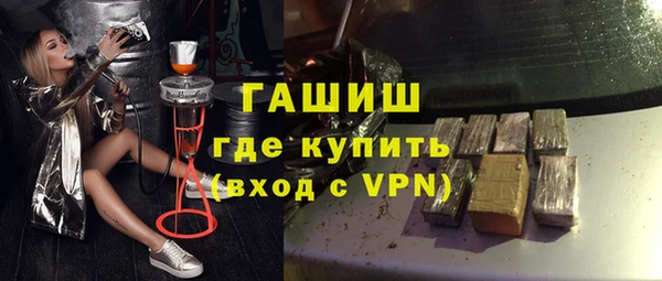 твердый Гусев