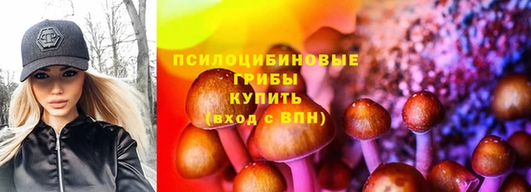 герыч Апатиты